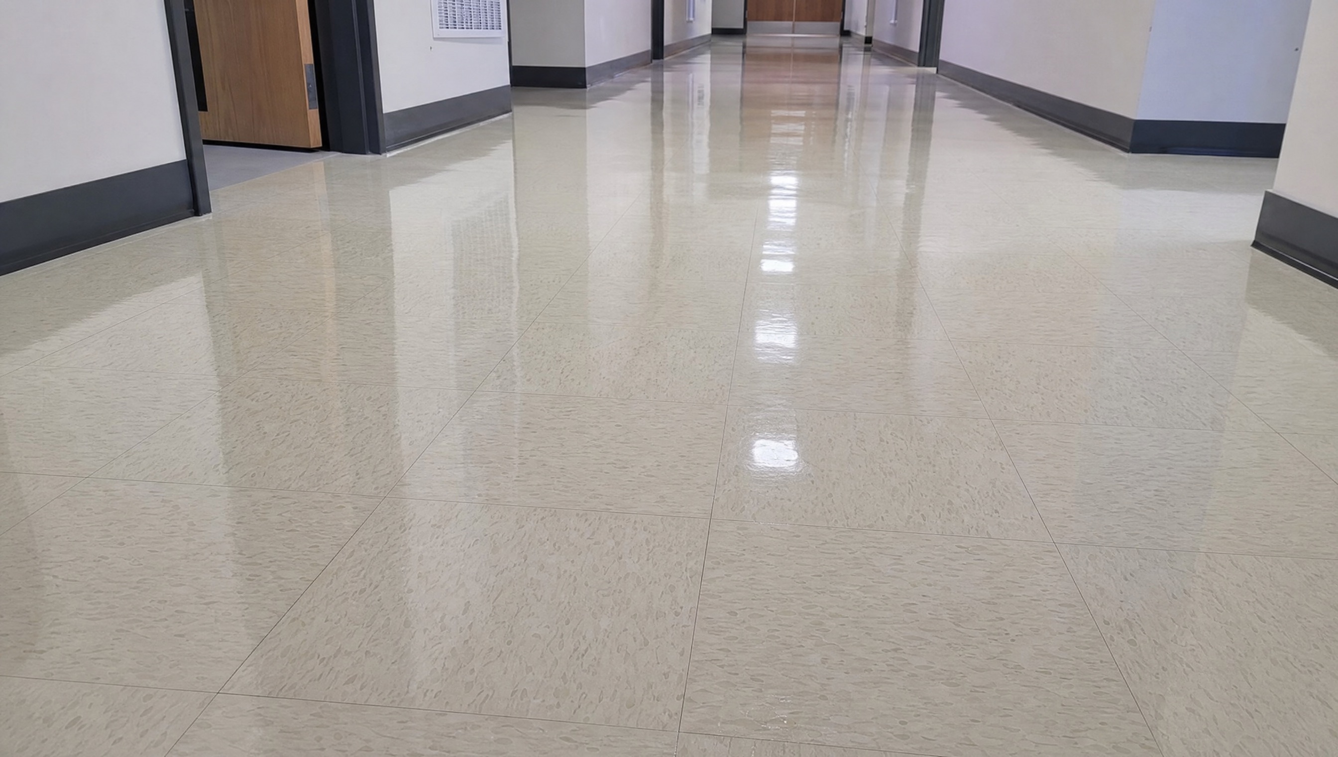 Commercial Floor Care in Lansing, MI